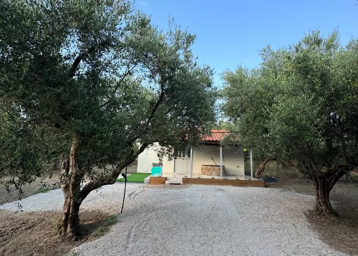 κτήμα γιώργος * זכארו